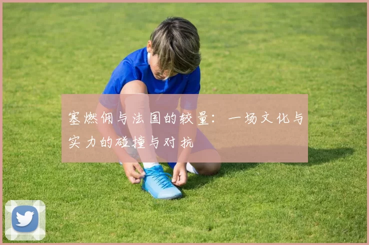 塞燃佣与法国的较量：一场文化与实力的碰撞与对抗