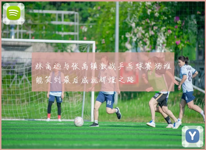 林高远与张禹镇激战乒乓球赛场谁能笑到最后成就辉煌之路