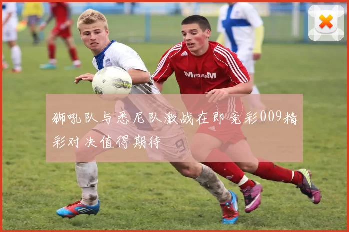 狮吼队与悉尼队激战在即竞彩009精彩对决值得期待