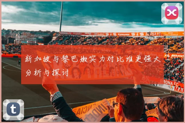 新加坡与黎巴嫩实力对比谁更强大分析与探讨